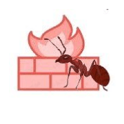 火蚁校园许可协议